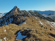 Quasi in vetta al MONTE SECCO (2293 m.) in solitaria con i camosci il 5 novembre 2012  - FOTOGALLERY